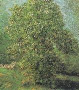 Blossoming Chestnut Tree Vincent Van Gogh